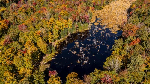 Photo aérienne - Rue Moon-River, Morin-Heights, QC 
