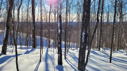 Terre/Terrain - Rue Moon-River, Morin-Heights, QC 