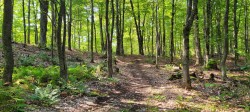 Terre/Terrain - 