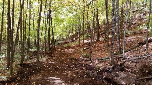 Terre/Terrain - Rue Moon-River, Morin-Heights, QC 