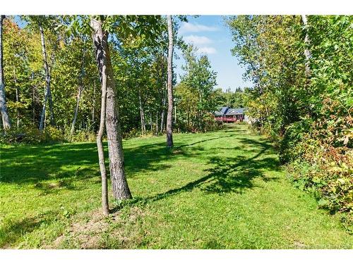 3442 Route 105, Bear Island, NB 