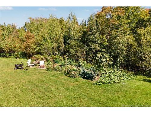 3442 Route 105, Bear Island, NB 