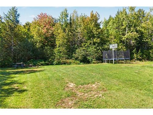 3442 Route 105, Bear Island, NB 
