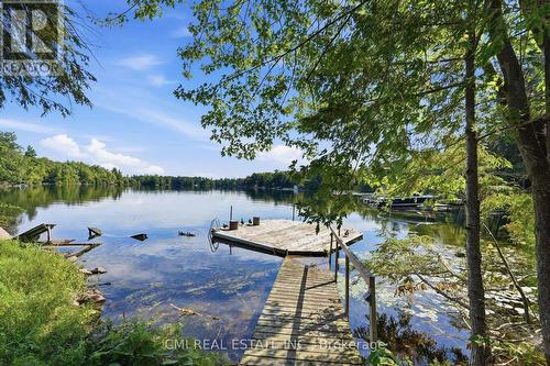 2324 Salmon Bay Road, Douro-Dummer, ON 