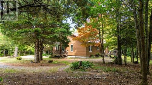 649 Madawaska Road, Hastings Highlands (Wicklow Ward), ON 