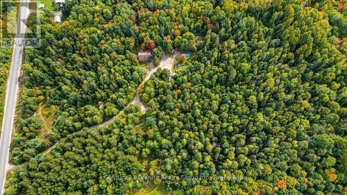 649 Madawaska Road, Hastings Highlands (Wicklow Ward), ON 