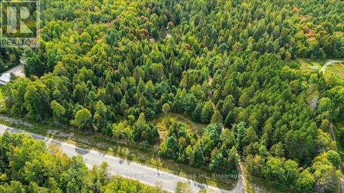 649 Madawaska Road, Hastings Highlands (Wicklow Ward), ON 