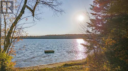 Amazing Sunsets from the Sandy Shoreline - 128 Cheer Lake Road, Strong, ON 