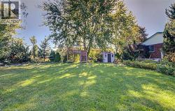 Expansive lawn area with mature trees, a detached storage shed, and a raised wooden structure - 