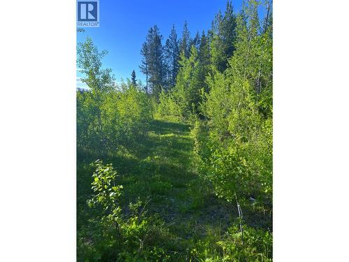 2685 Mile 108 Road, Horsefly, BC 
