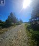 95A Chipmans Road, Spaniards Bay, NL 