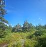 95A Chipmans Road, Spaniards Bay, NL 