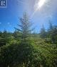 95A Chipmans Road, Spaniards Bay, NL 
