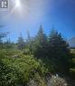 95A Chipmans Road, Spaniards Bay, NL 