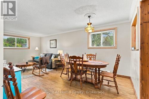 Open concept living and dining room - C - 103 Rita Crescent, Kawartha Lakes (Omemee), ON 