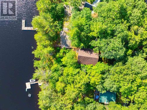 48 Fred Dubie Road E, Carling, ON 