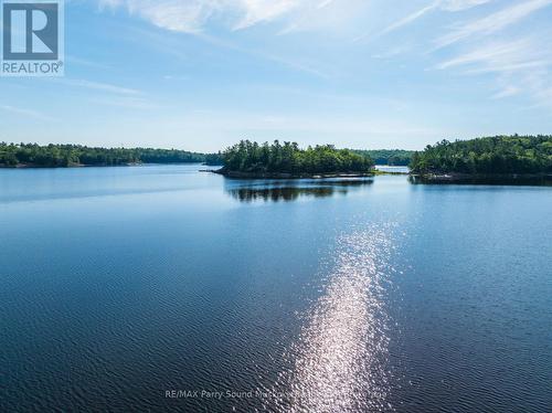 48 Fred Dubie Road E, Carling, ON 