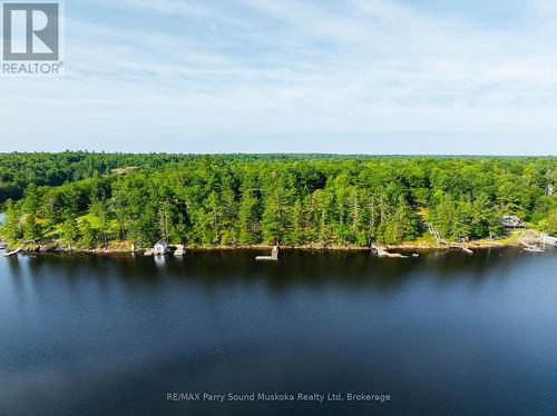 48 Fred Dubie Road E, Carling, ON 