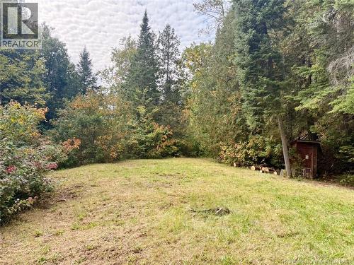 355 St Maure Road, Balmoral, NB 