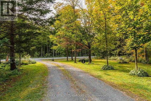 3993 Chapel Road, South Glengarry, ON 