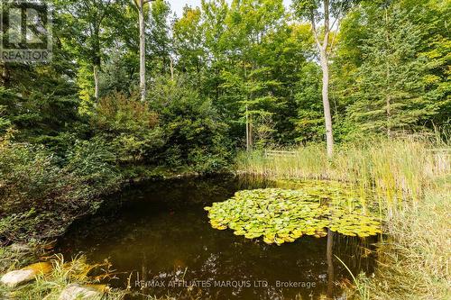 3993 Chapel Road, South Glengarry, ON 