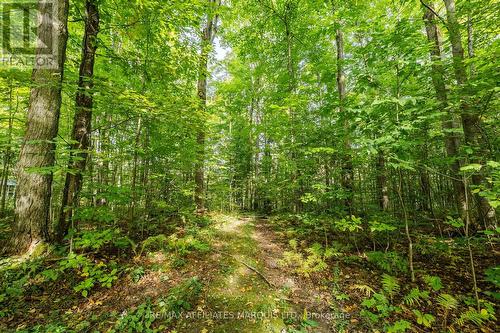 3993 Chapel Road, South Glengarry, ON 