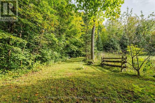 3993 Chapel Road, South Glengarry, ON 