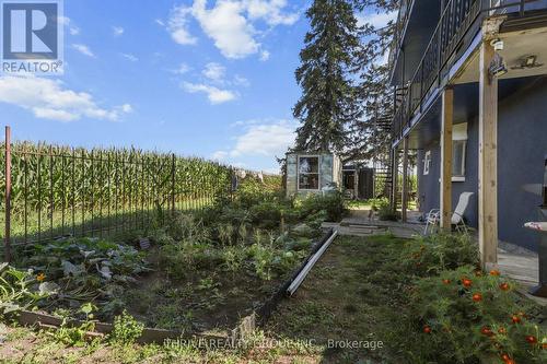 8198 Littlewood Drive, Middlesex Centre, ON 