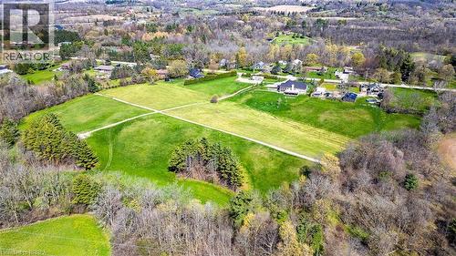 Expansive lot featuring a large grassy field, mature trees, and a distant residential structure - 47 River Road, Brantford, ON 