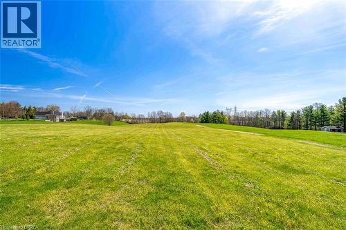 Expansive green field featuring a clear sky overhead and a distant treeline - 47 River Road, Brantford, ON 