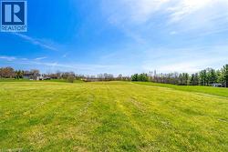 Expansive green field featuring a clear sky overhead and a distant treeline - 