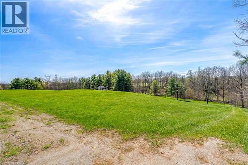 Expansive green field with a gentle slope and partial tree line perimeter - 47 River Road, Brantford, ON 
