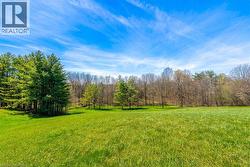 Expansive green lawn bordering a dense line of mature evergreen trees and deciduous woodlands - 