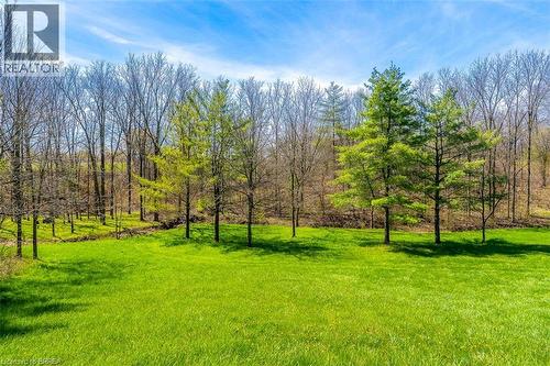 Expansive green lawn bordering a natural wooded area - 47 River Road, Brantford, ON 
