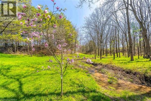 Expansive green landscape featuring mature trees, a natural stream bed, and flowering deciduous trees - 47 River Road, Brantford, ON 