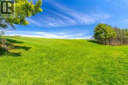 Expansive green pastureland with a gently sloping terrain, bordered by mature trees - 