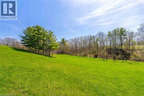 Expansive green lawn with a gentle slope - 47 River Road, Brantford, ON 