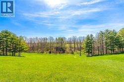 Expansive green lawn bordered by a variety of mature trees and a distant wooded hillside - 