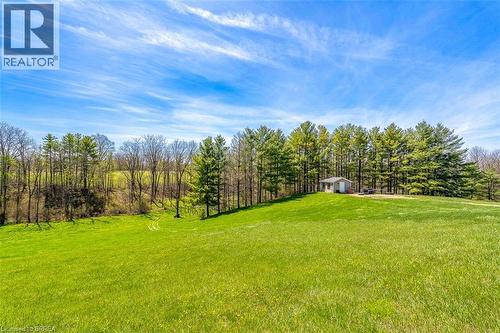 Expansive green meadow with a backdrop of mature evergreen and deciduous trees - 47 River Road, Brantford, ON 