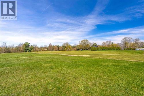 Expansive green space featuring natural landscaping and mature trees - 47 River Road, Brantford, ON 