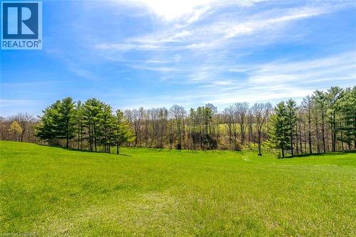 Expansive green landscape featuring a gradual incline, a border of mature trees, and open sky - 47 River Road, Brantford, ON 