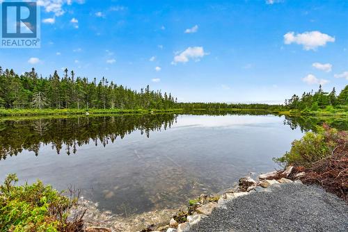 81 Strayaway Road, Blaketown, NL 