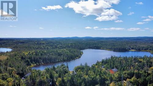 81 Strayaway Road, Blaketown, NL 