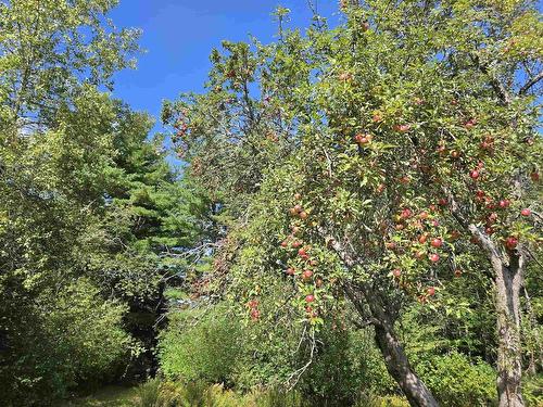 415 Old Harmony Road, Harmony Mills, NS 