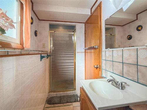 Lower leve 3pc Bath - 46 Queens Crescent, Brandon, MB 