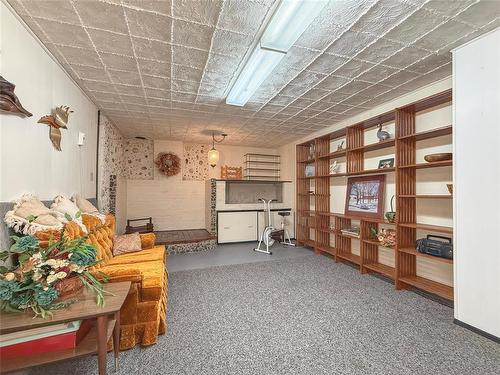 Recreation Room - 46 Queens Crescent, Brandon, MB 