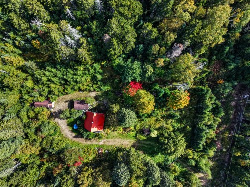 Vue d'ensemble - 8951 Imp. De La Sucrerie, Sainte-Agathe-Des-Monts, QC 