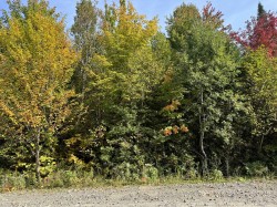 Rue des Golfeurs Sainte-Marguerite-Du-Lac-Masson, QC J0T 1L0