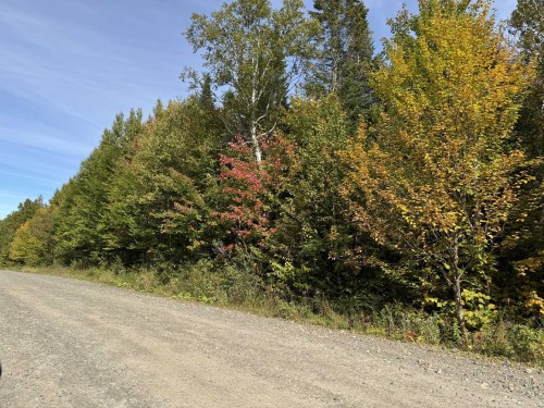 Rue - Rue Des Golfeurs, Sainte-Marguerite-Du-Lac-Masson, QC 