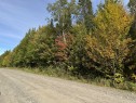 Rue - Rue Des Golfeurs, Sainte-Marguerite-Du-Lac-Masson, QC 
